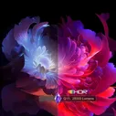 Проектор TouYinger Q10W Max